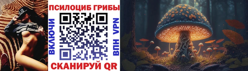 omg ССЫЛКА  Олёкминск  Псилоцибиновые грибы мухоморы 